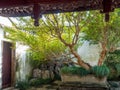 Master of Nets Garden Wang Shi Yuan, Suzhou, China Royalty Free Stock Photo